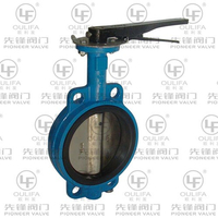 Wafer Type Butterfly Valve D71X